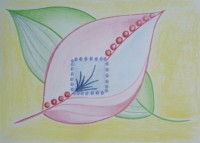 /album/fotogalerie/cistici-maly-jpg/